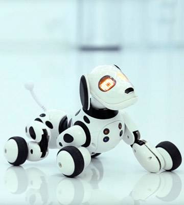 Dinglong RC Smart Dog Remote Control Robot Dog Toy - Bestadvisor