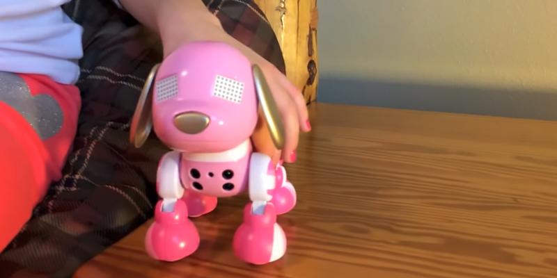 Review of Zoomer Zuppy Love Glam Puppy Toy
