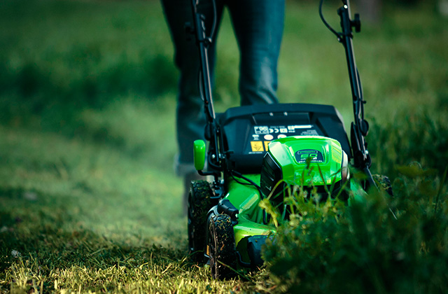 Comparison of Electric Lawn Mowers