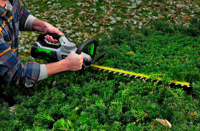 Comparison of Hedge Trimmers to Keep Your Hedge Under Control