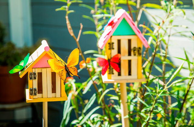 Best Butterfly Houses  