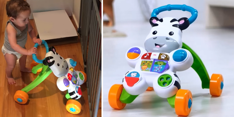 Review of Fisher-Price DLF00 Learn with Me Zebra Walker